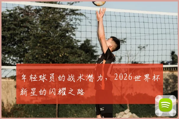 年轻球员的战术潜力,2026世界杯新星的闪耀之路