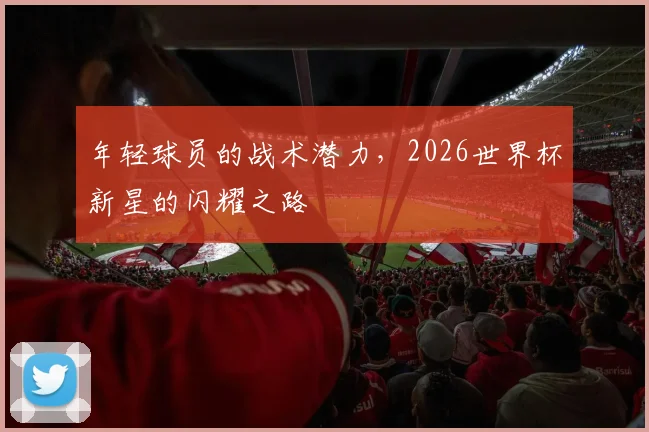 年轻球员的战术潜力,2026世界杯新星的闪耀之路