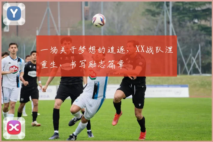 一场关于梦想的追逐，XX战队涅槃重生，书写励志篇章