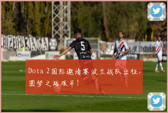 Dota 2国际邀请赛波兰战队出征,圆梦之路艰辛!