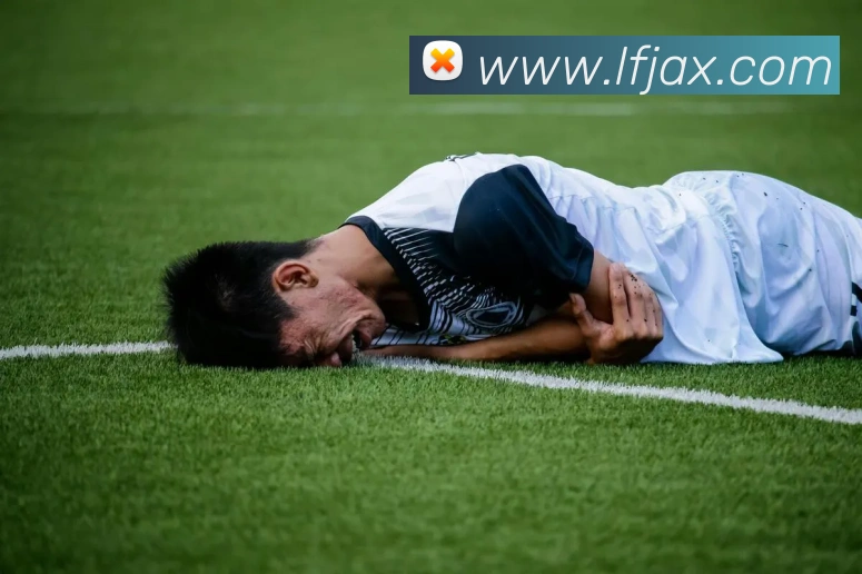 登录器